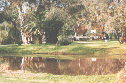 The setting of Euroa Caravan Park